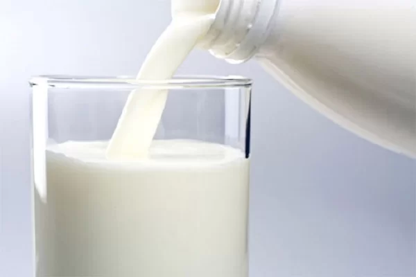 Sữa tươi nguyên kem có hàm lượng dinh dưỡng cao hơn sữa bột nguyên kem
